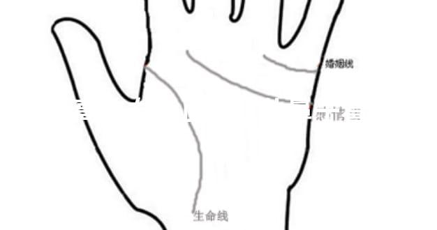 鼻梁高的女人面相,从鼻子看富贵